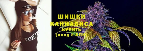 дмт Аркадак