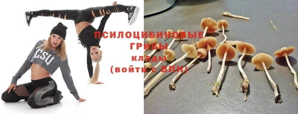мдпв Армянск