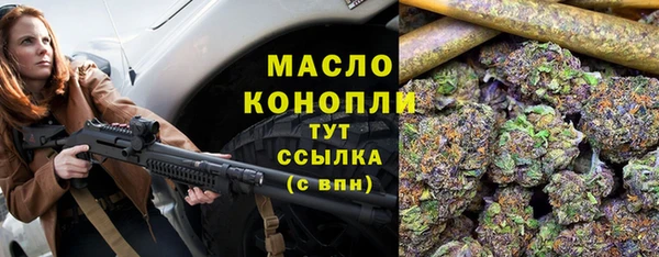 трава Корсаков