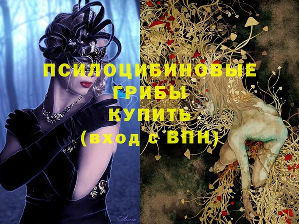 мдпв Армянск