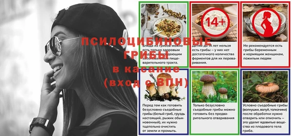 мдпв Армянск
