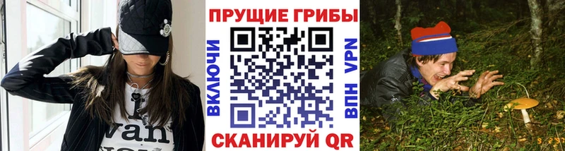 Галлюциногенные грибы прущие грибы  МЕГА рабочий сайт  дарк нет какой сайт  Унеча 